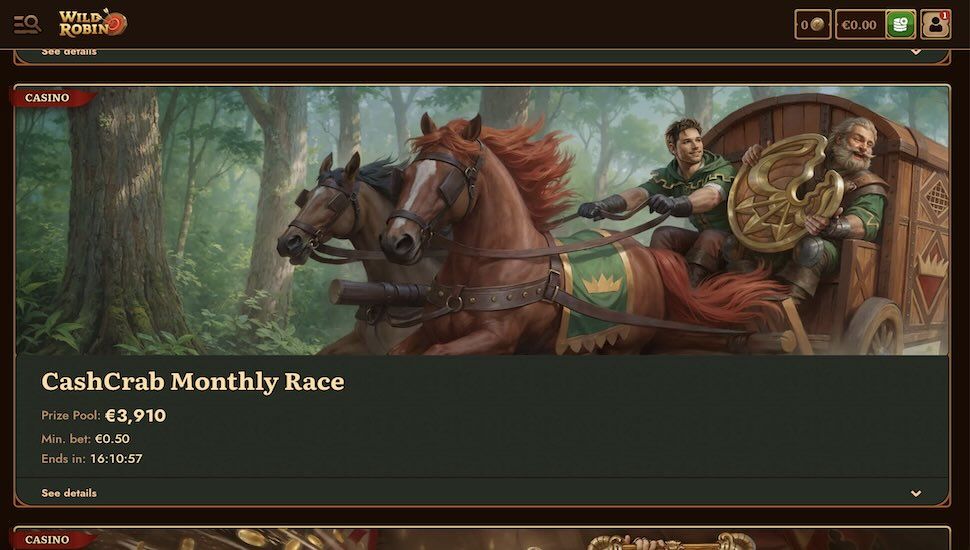 Wild Robin Casino tournaments page screenshot