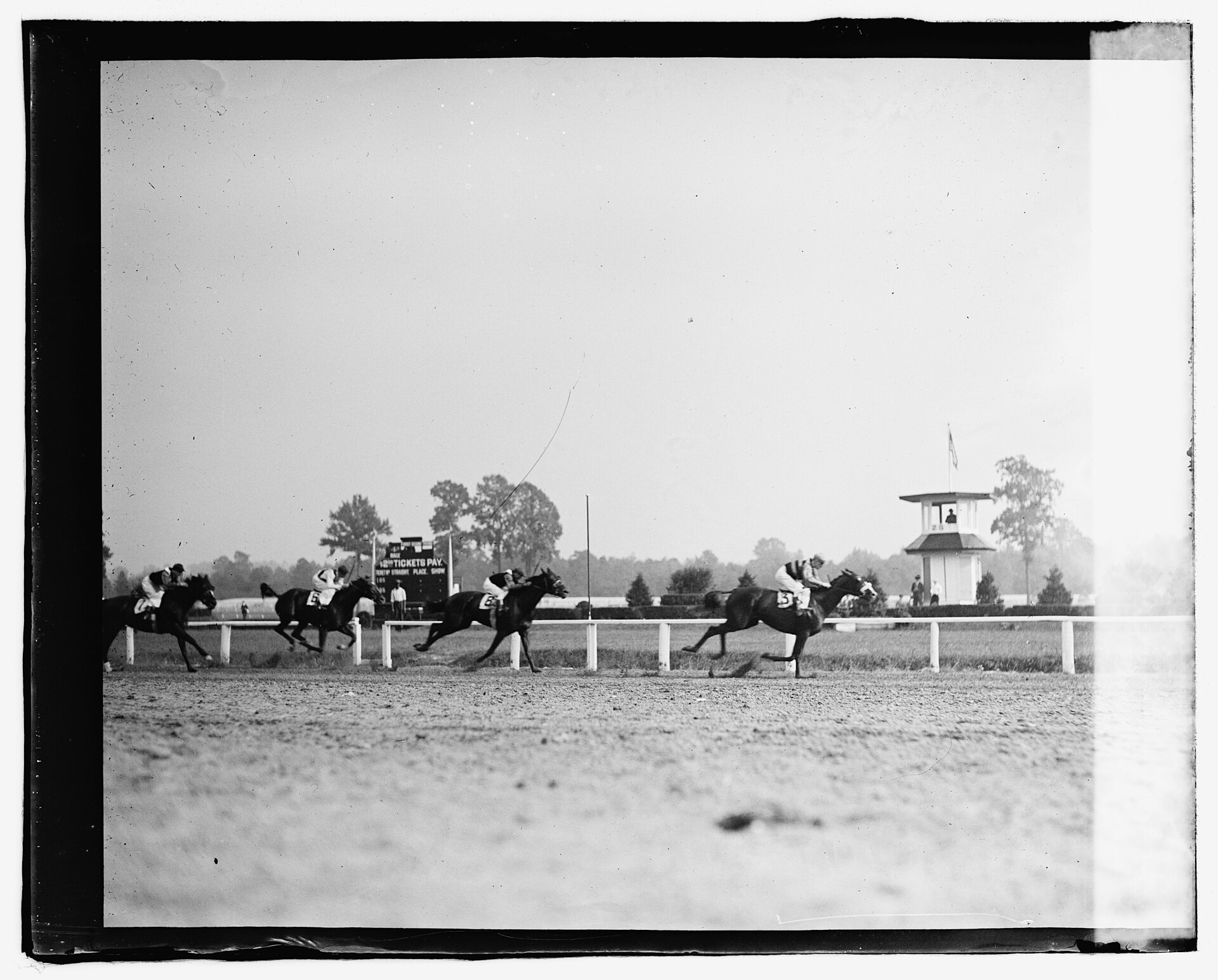 Horse race finish representing the dead-heat rule in betting