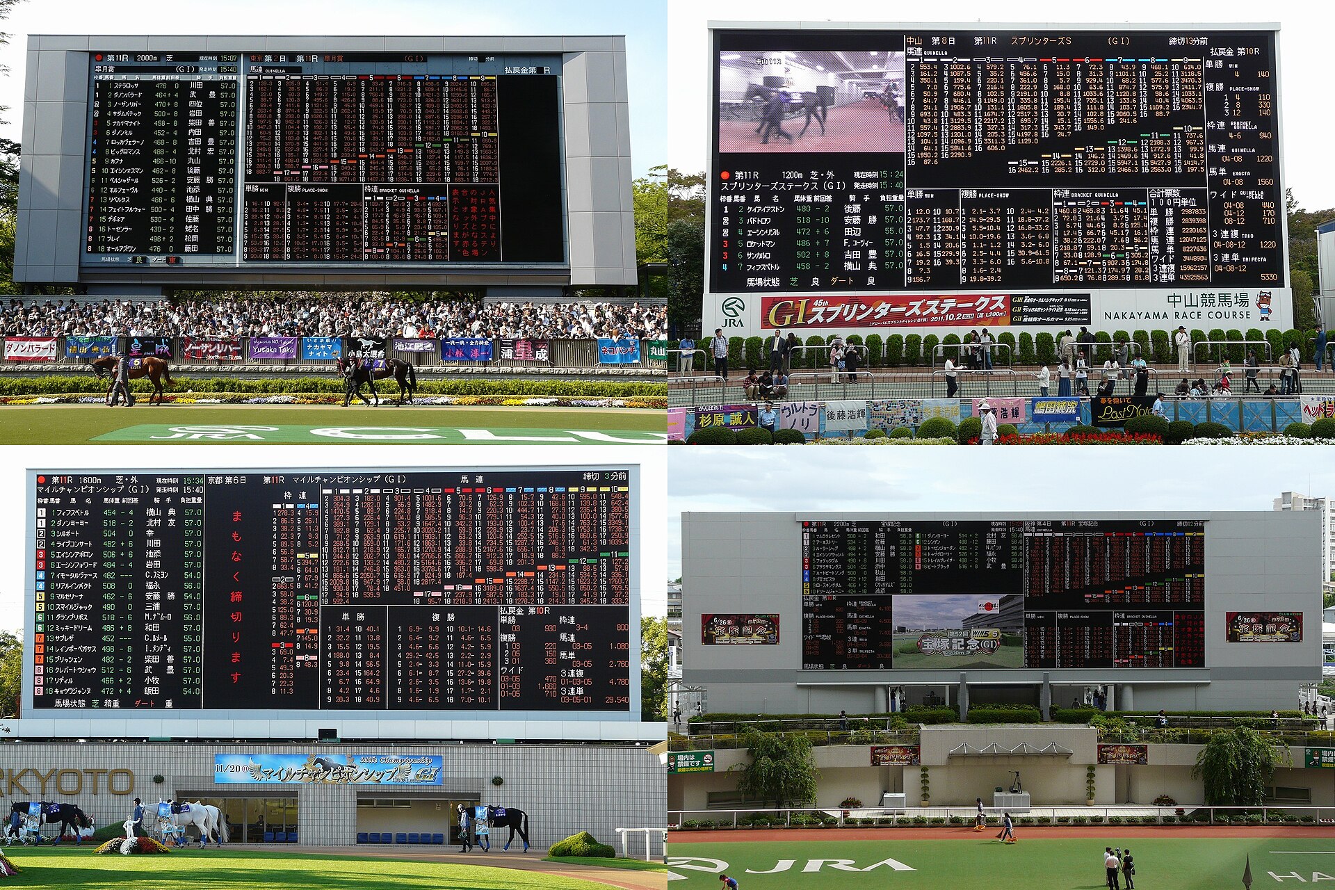 Odds board representing live betting market suspension and changing prices