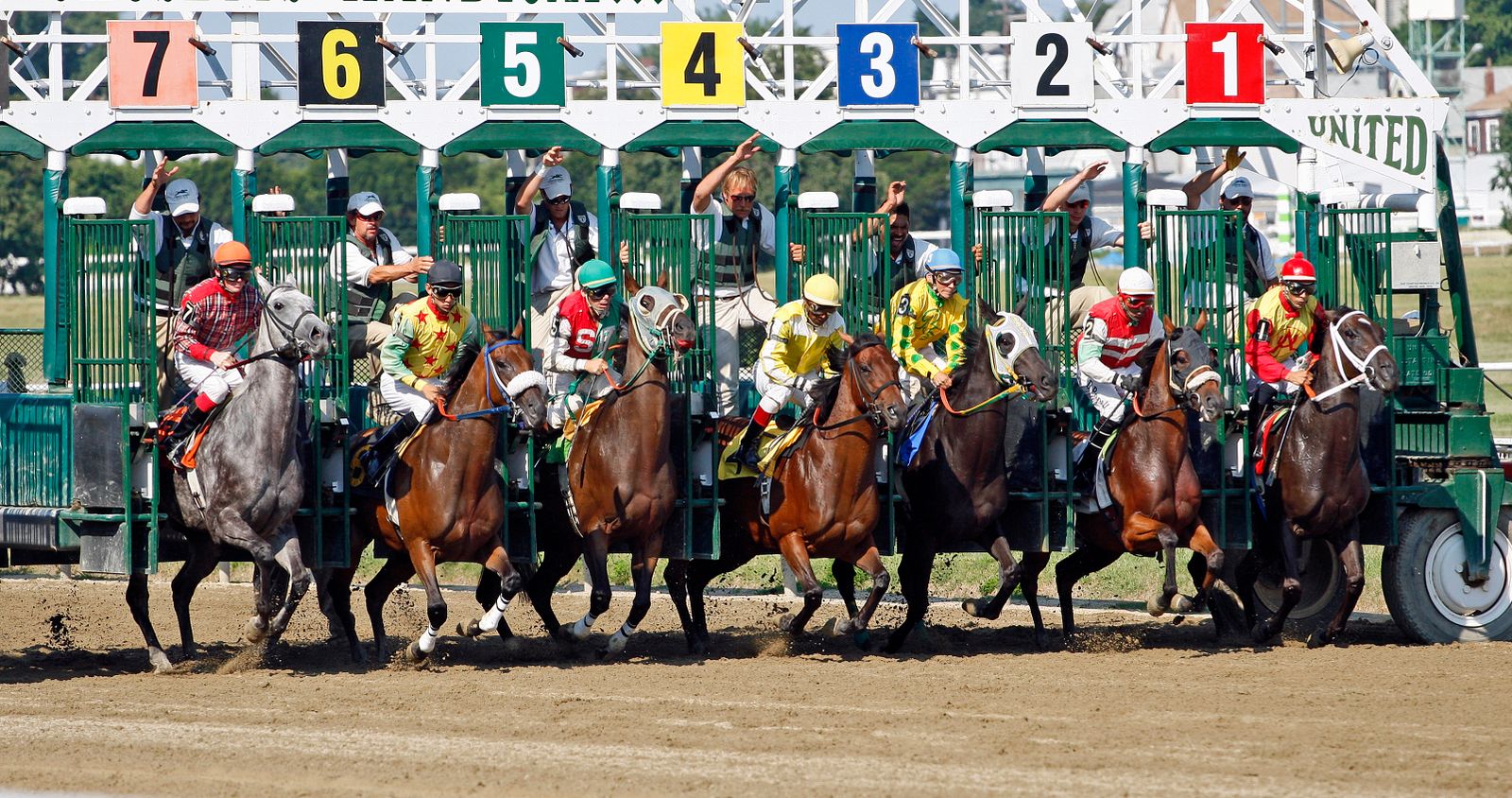 Horse race leaving the starting gate representing live betting cash-out decisions