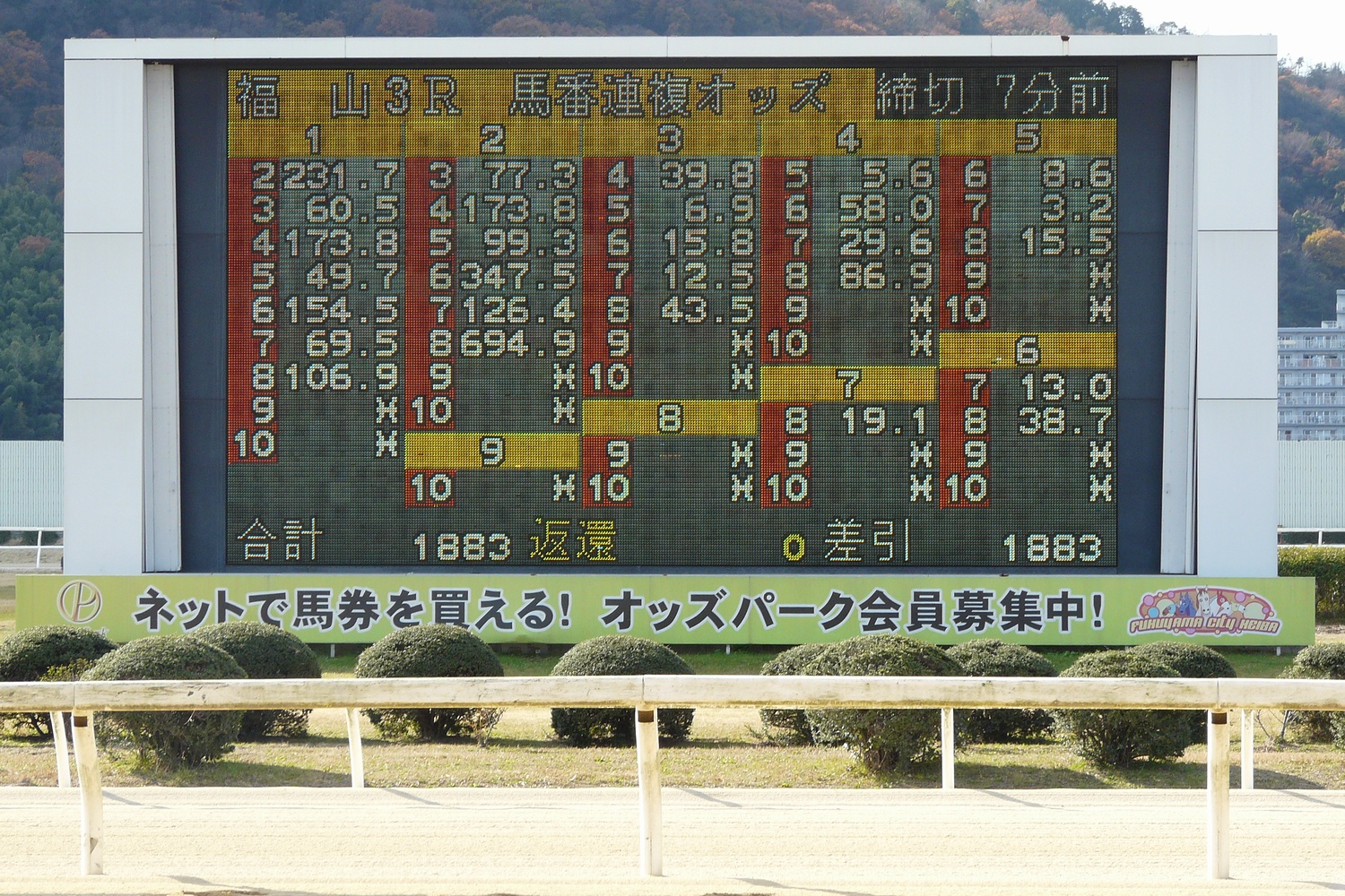 Horse-racing odds board showing changing prices before a race