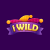 iWild Casino